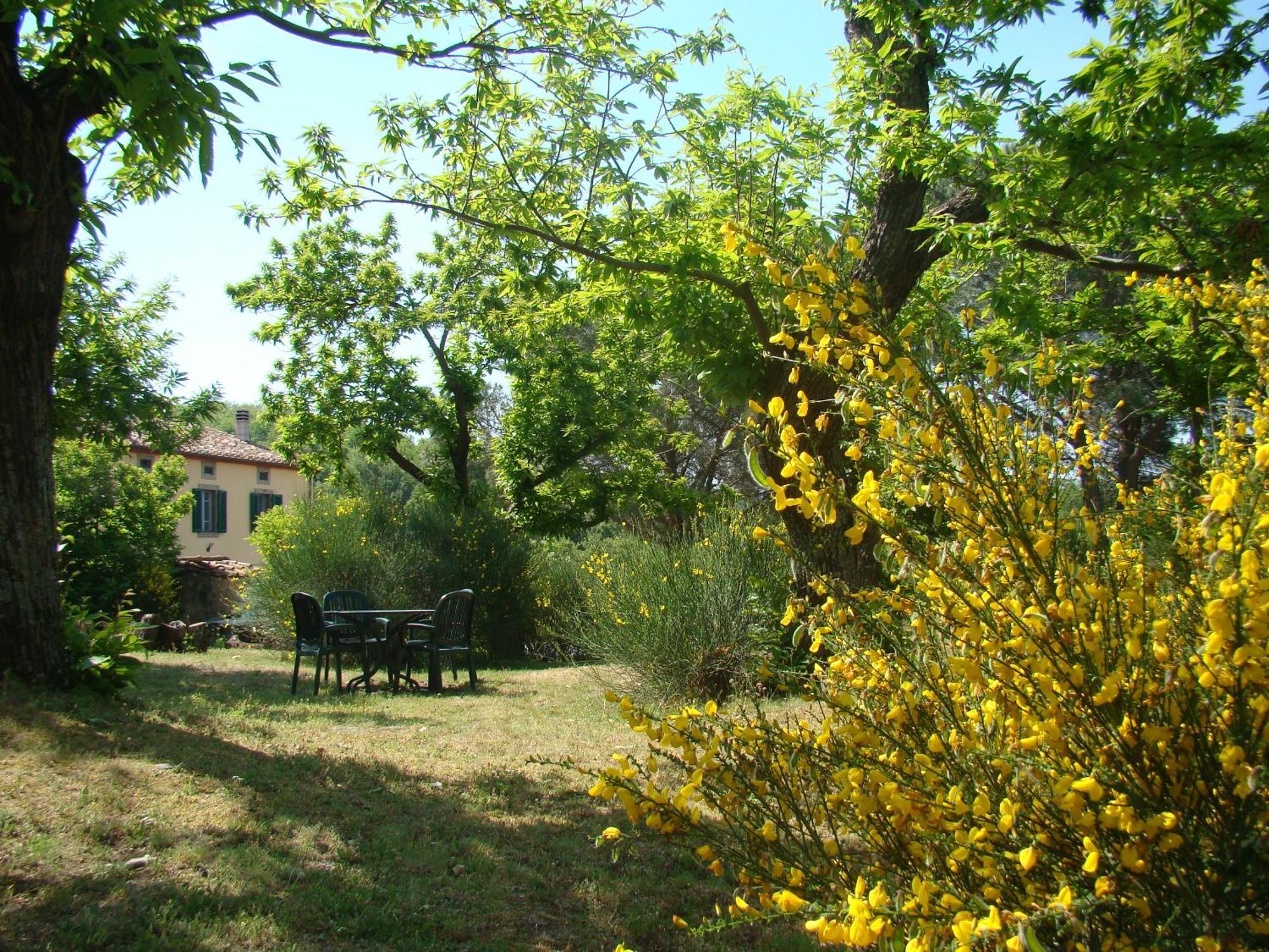 Borgo Tepolini Country House Castel del Piano  Exterior photo