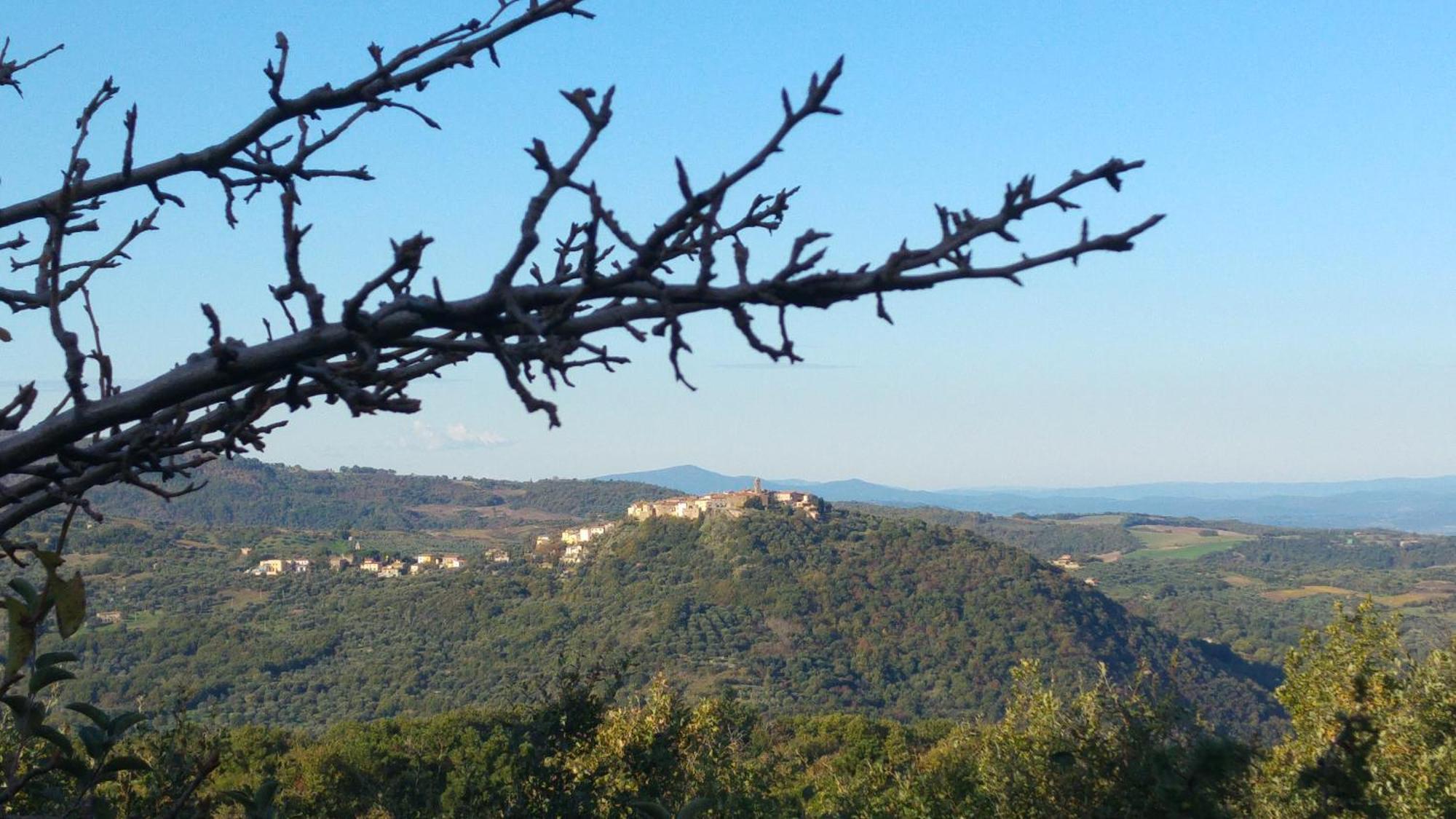 Borgo Tepolini Country House Castel del Piano  Exterior photo